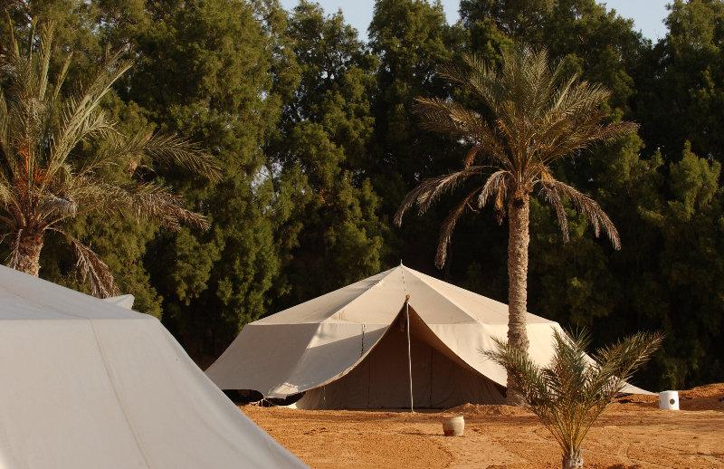 Campement Yadis Ksar Ghilane 外观 照片