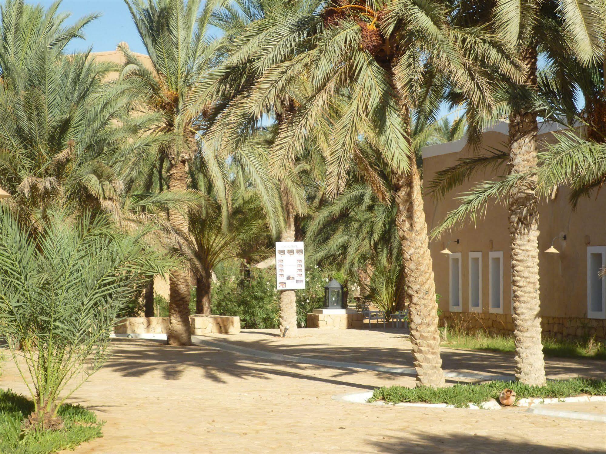 Campement Yadis Ksar Ghilane 外观 照片